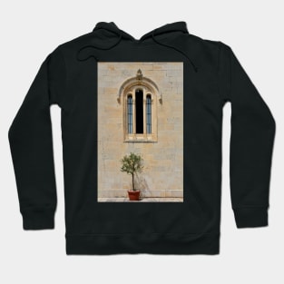 Olive Tree and Church Window Hoodie